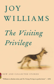 The Visiting Privilege