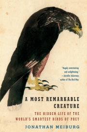 A Most Remarkable Creature 