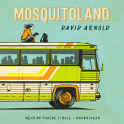 Mosquitoland 