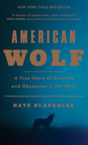 American Wolf 