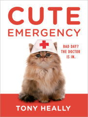 CUTE EMERGENCY is a collection of adorable photos of animals doing cute things