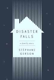 Disaster Falls 