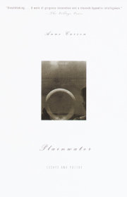 Plainwater 