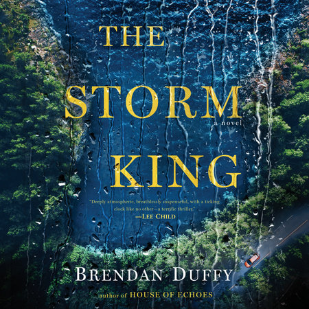 The Storm King by Brendan Duffy