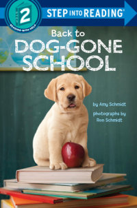 Book cover for Back to Dog-Gone School