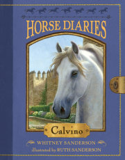 Horse Diaries #14: Calvino 