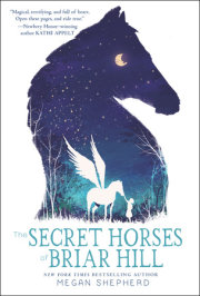 The Secret Horses of Briar Hill 