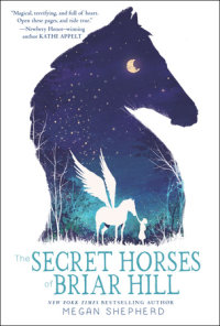 Cover of The Secret Horses of Briar Hill