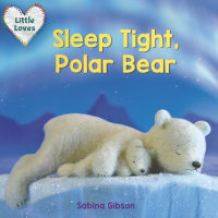 Book cover for Sleep Tight, Polar Bear (Little Loves)