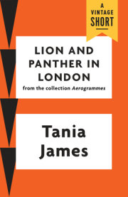 Lion and Panther in London