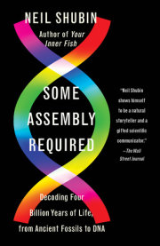 Some Assembly Required 