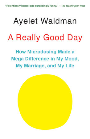 A Really Good Day by Ayelet Waldman