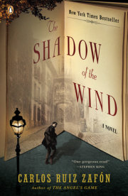 The Shadow of the Wind 