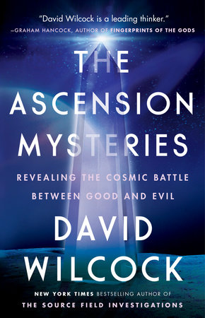 The Synchronicity Key: The Hidden by Wilcock, David