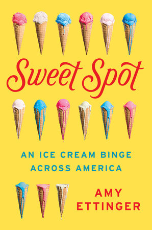 Sweet Spot Ice Cream Maker - GoodThings