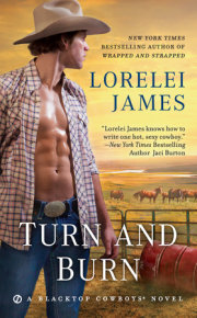Turn and Burn 