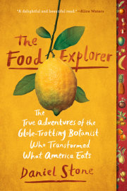 The Food Explorer 