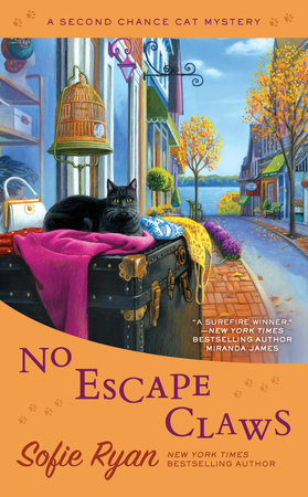 Scaredy Cat (Second Chance Cat Mystery)