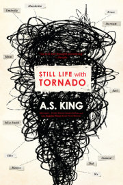 Still Life with Tornado 