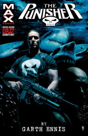 Punisher Max By Garth Ennis Omnibus Vol. 2 