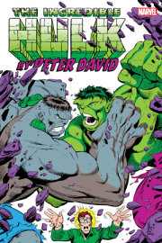 INCREDIBLE HULK BY PETER DAVID OMNIBUS VOL. 2 