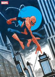 JEPH LOEB & TIM SALE: SPIDER-MAN GALLERY EDITION [DM ONLY] 