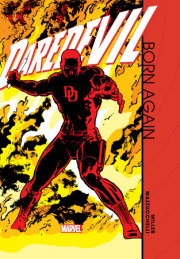 DAREDEVIL: BORN AGAIN GALLERY EDITION 