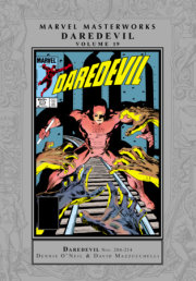 MARVEL MASTERWORKS: DAREDEVIL VOL. 19 