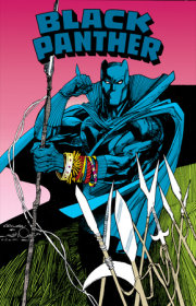 Black Panther: Revenge Of The Black Panther Omnibus Denys Cowan Cover 
