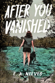 After You Vanished 