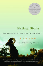 Eating Stone 
