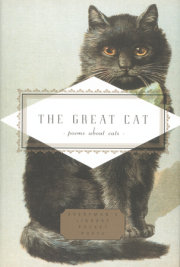 The Great Cat 