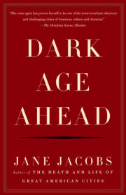 Dark Age Ahead 