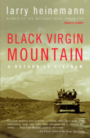 Black Virgin Mountain 