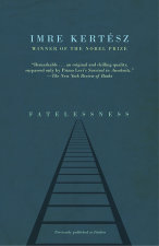 Fatelessness