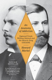 An Anatomy of Addiction 
