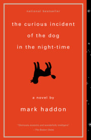 The Curious Incident of the Dog in the Night-Time 