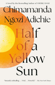 Half of a Yellow Sun 