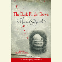The Dark Flight Down Cover