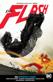 The Flash Vol. 7: Perfect Storm 