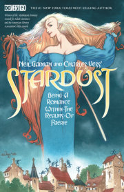 Neil Gaiman and Charles Vess's Stardust (New Edition) 