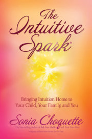 The Intuitive Spark 