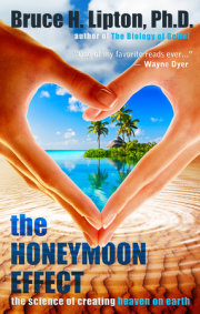 The Honeymoon Effect 