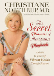 The Secret Pleasures of Menopause Playbook 