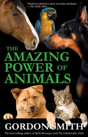 The Amazing Power of Animals