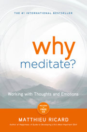 Why Meditate? 