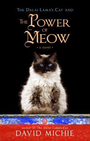 The Power of Meow The Power of Meow