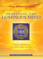 Awakening the Luminous Mind 