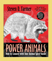 Power Animals