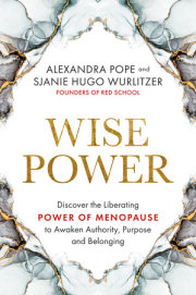 Wise Power 